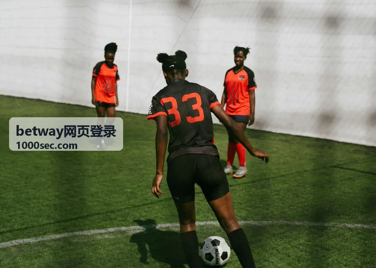 betway网页登录数据复盘场提要封面