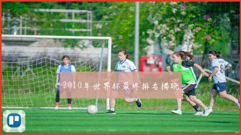 2010年世界杯最终排名揭晓