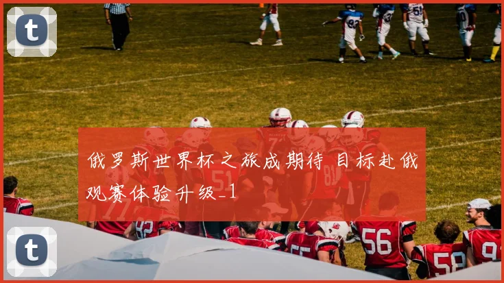 俄罗斯世界杯之旅成期待 目标赴俄观赛体验升级_1