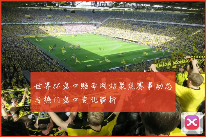 世界杯盘口赔率网站聚焦赛事动态与热门盘口变化解析