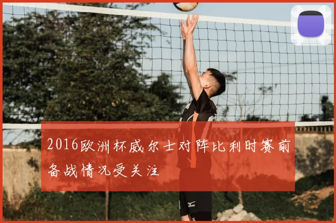 2016欧洲杯威尔士对阵比利时赛前备战情况受关注