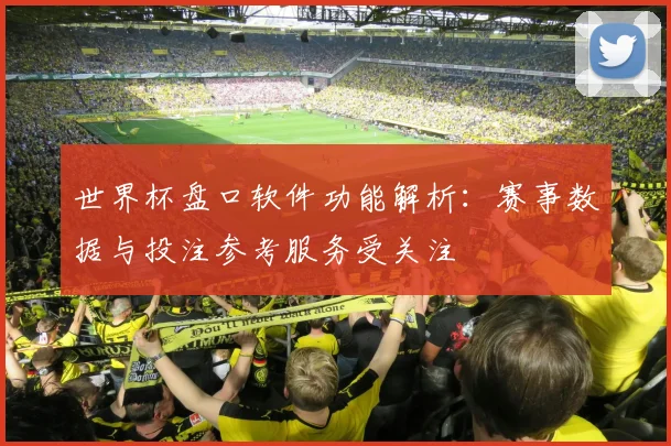 世界杯盘口软件功能解析：赛事数据与投注参考服务受关注